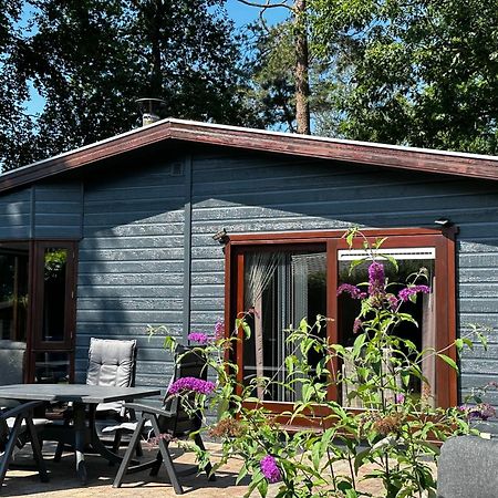 Dubbele chalet op recreatiepark Topparken op de Veluwe in Beekbergen met grote vrije tuin en eigen parkeerplaats Buitenkant foto